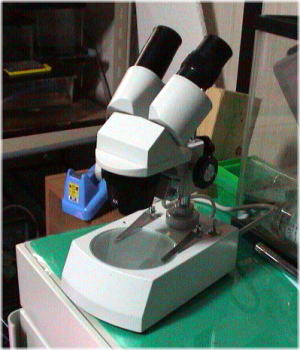 ���̌�����