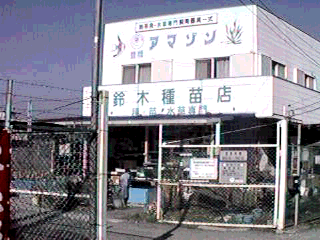 �L���A�}�]��