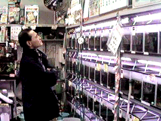 �L���A�}�]���X��